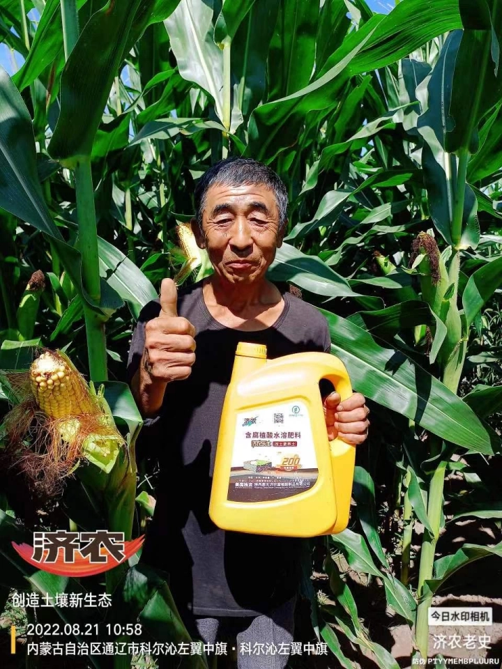 The Effect of Using Jinong Letu for Corn in Inner Mongolia 4(图3)