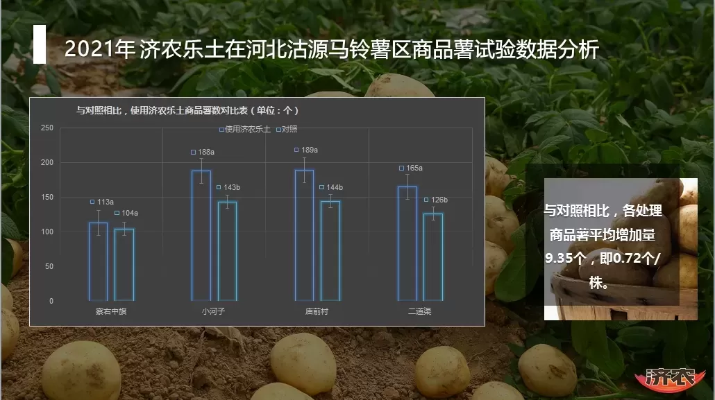 The yield measurement results of potatoes in Hebei Province after using Jinong Letu(图7)