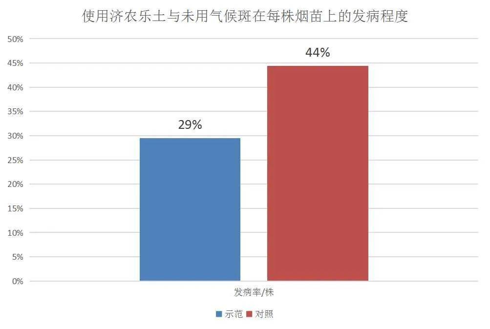 The incidence rate of tobacco climatic spots was reduced by 15%, and it was used correctly for two times in seedling stage