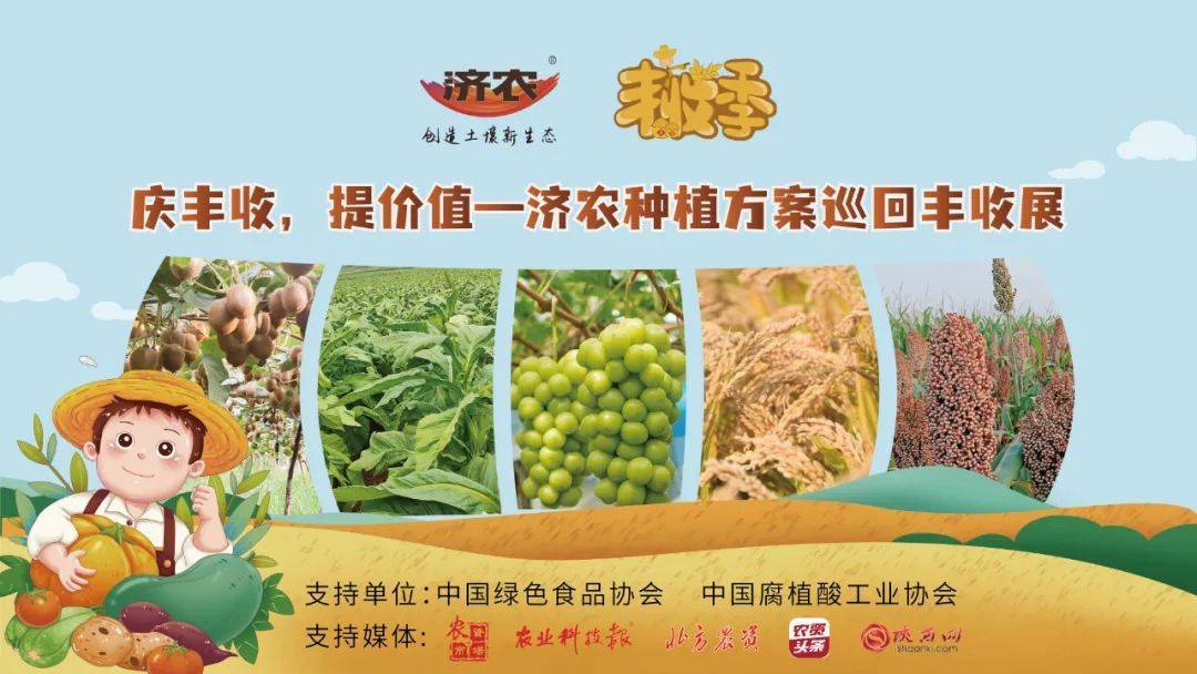 The 2023 Jinnong Planting Plan Tour Plan Harvest Exhibition was successfully held!(图2)