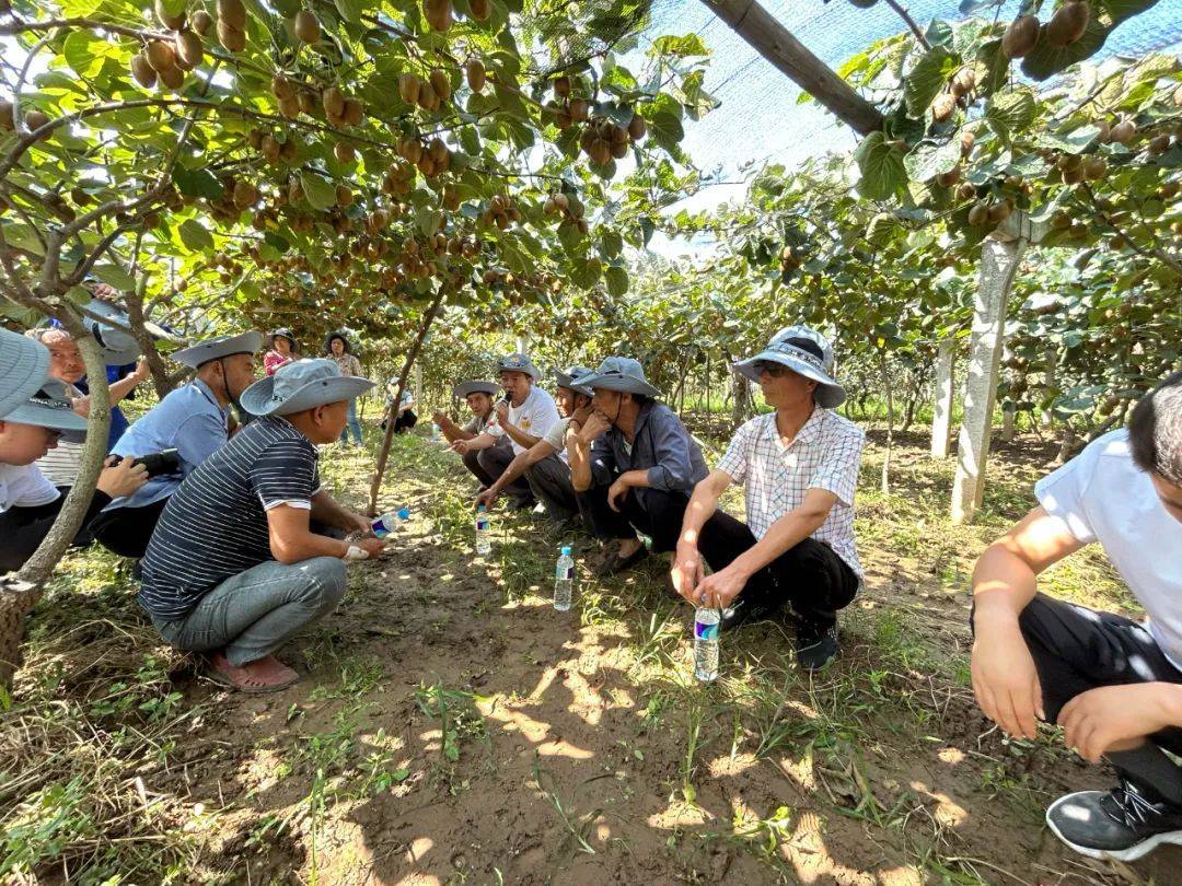 The 2023 Jinnong Planting Plan Tour Plan Harvest Exhibition was successfully held!(图12)