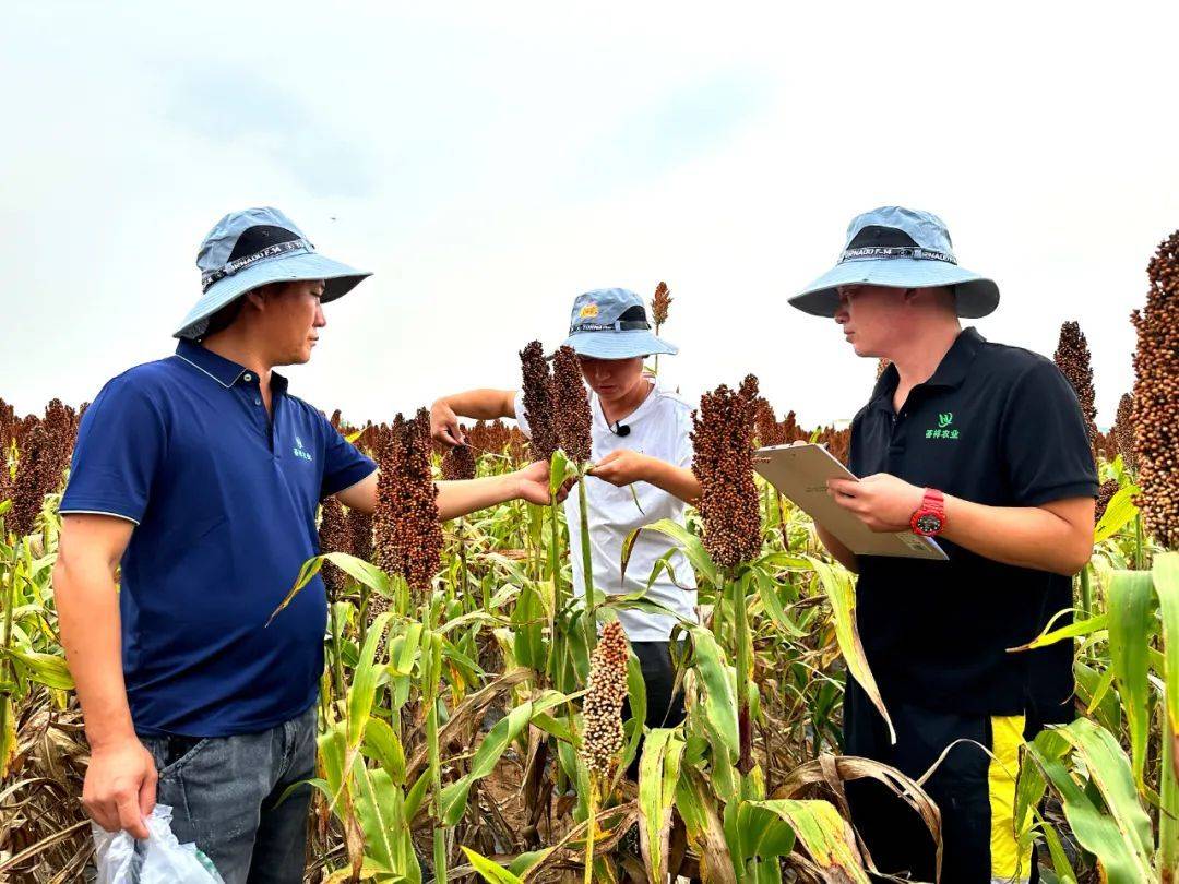 The 2023 Jinnong Planting Plan Tour Plan Harvest Exhibition was successfully held!(图9)