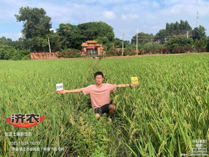 The effect of using agricultural products in Guangdong rice(图2)