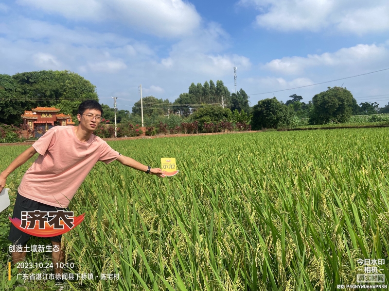 The effect of using agricultural products in Guangdong rice(图3)