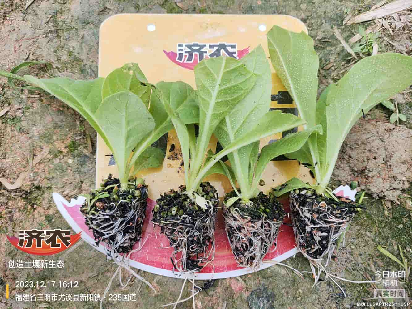 The Effect of Using Jinan Agricultural Products in Fujian Flue-cured Tobacco(图1)