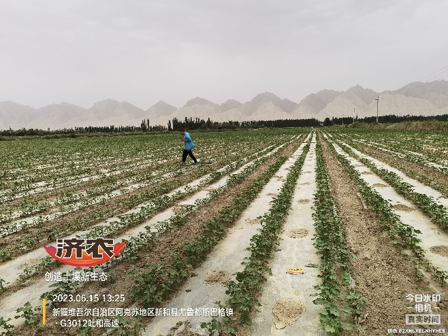 The effect of using agricultural products in Xinjiang cotton(图3)