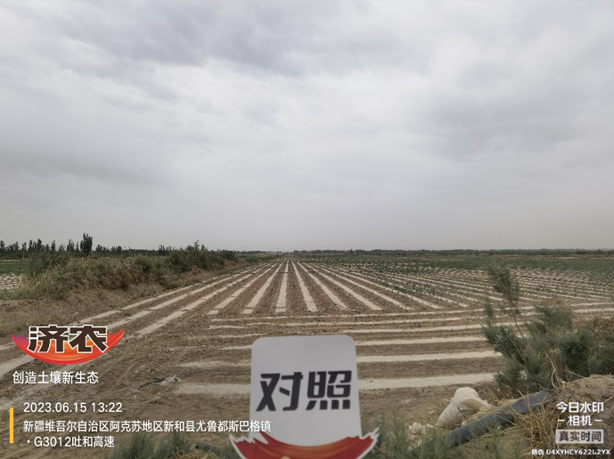 The effect of using agricultural products in Xinjiang cotton(图2)